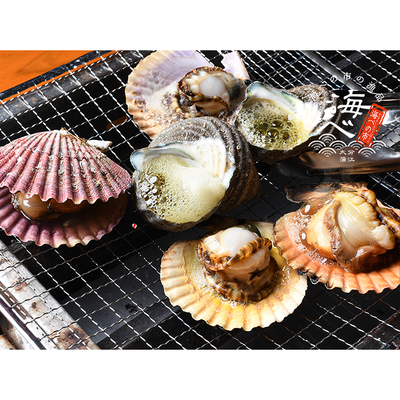 貝　【まとめ売り】 貝類 | 海べの市